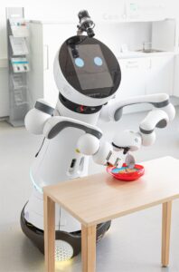 Care-O-Robot